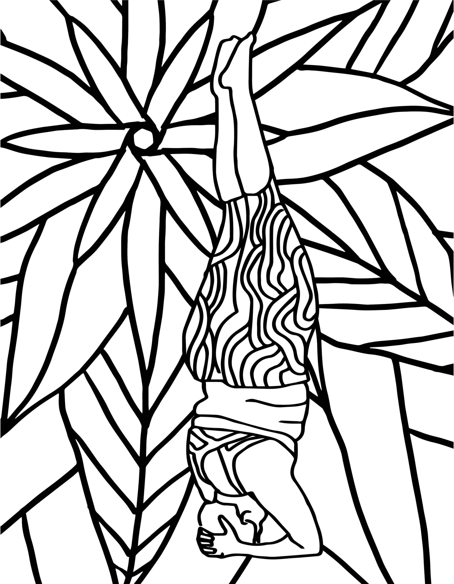 Find Joy Through Color II: A Melanin-Filled Coloring Book for Yogis