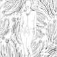 Find Joy Through Color: A Melanin-Filled Coloring Book for Women