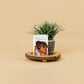 styled greeting card scene of black couple embracing each other with full smiles while card stands on wood decor against a house plant